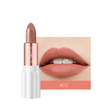 Semi Velvet Rich Color Waterproof Moisturizing Long Lasting Lipstick