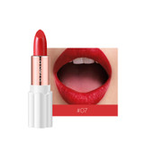 Semi Velvet Rich Color Waterproof Moisturizing Long Lasting Lipstick