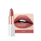 Semi Velvet Rich Color Waterproof Moisturizing Long Lasting Lipstick