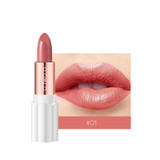 Semi Velvet Rich Color Waterproof Moisturizing Long Lasting Lipstick