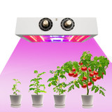 1100w LED Grow Lights Plant Grow Lights (LED 53pcs) - Jookyo L14
