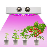 1100w LED Grow Light (LED 57pcs) - Jookyo L13