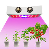 1000w LED Grow Light (LED 49pcs) - Jookyo L10