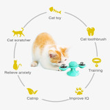 Interactive Windmill Cat Toy