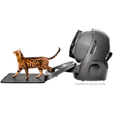 Waterproof EVA Litter Trap Mat