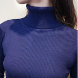 Women Knitted Dress Turtleneck