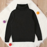 Unisex Turtleneck Solid Cotton Sweaters