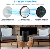 Air Purifier For Home