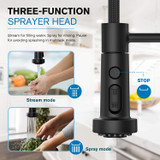 Black Kitchen Faucet with Pull Down Sprayer, 19.75-Inch Spring Faucet