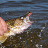 PLUSINNO Fishing Lures for Bass Spinner Lures