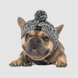 EMHABIT™ Winter Dog Hat
