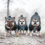 EMHABIT™ Winter Dog Hat
