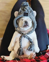EMHABIT™ Winter Dog Hat