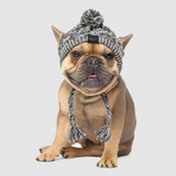 EMHABIT™ Winter Dog Hat