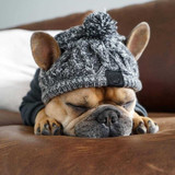 EMHABIT™ Winter Dog Hat