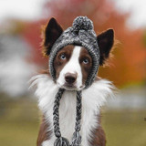 EMHABIT™ Winter Dog Hat