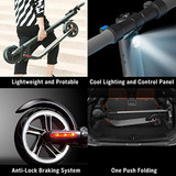 Segway Ninebot ES4 Electric Kick Scooter with External Battery, Lightweight and Foldable | (2019 Version)