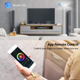 LED Floor Lamp WiFi 66 in.