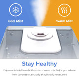 Humidifiers for Large Room Bedroom (6L)