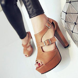 High Heel Shoes - Platform Shoes - Women's Sandals Summer Fashion High Heel Pumps