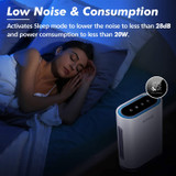 Large Room Air Purifier with True HEPA Filter