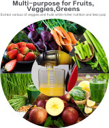 Aobosi Slow Masticating juicer Extractor, Cold Press Juicer Machine