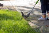 13-Inch 4-Amp Corded Electric Lawn Mower, 13-Inch, 4-Amp Corded.
