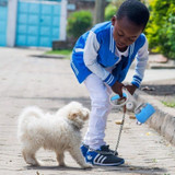 Dog Poop Pick Up