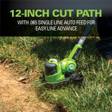 12-Inch 24V Cordless String Trimmer/Edger, 2.0 AH Battery Included .