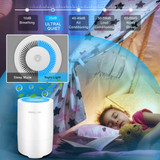 Air Purifier for Home Smoke Pollen and Pets Hair in Bedroom Office.