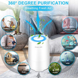Air Purifier for Home Smoke Pollen and Pets Hair in Bedroom Office.