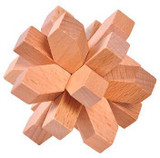 Wooden Classic IQ Brain Puzzle
