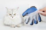 The Amazing Pet Grooming Glove