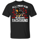 All I Want For Valentines Is A Dachshund T-Shirt Funny Valentines Day Shirt Men Women Gift
