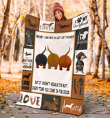 Dachshund Money Can Buy A Lot Of Things But It Doesn't Wiggle Fleece Blanket Weiner Dog Gift