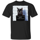 Black Cat Prison Shirt Dangerous Cat On The Naughty List Graphic Tee Gift For Cat Lover