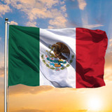 Golden Eagle Flag Mexican Flag Bird Outdoor Hanging Decor