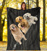 Funny Golden Retriever Blanket Dog Lover Gifts Bedroom Decor Funny Golden Retriever Blanket Dog Lover Gifts Bedroom Decor