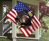 Rottweiler American Flag 4th Of July Flag Gift For Dog Owner