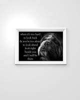 Bulldog When It's Too Hard To Look Back And You're Too Afraid Motivational Poster Decoration