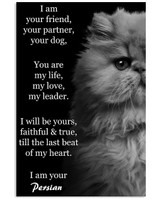Persian Cat I Am Your Friend Poster, Cat Poster Decorations Cat Wall Art