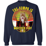 Pi Bbull The Tempo Is Whatever I Say It Is Pitbull Humor Sweaters