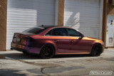 Anthias ColorShift California Kit