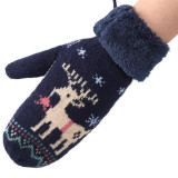 Winter Warm Holiday Snow Gloves