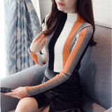 Turtleneck Knit Vertical Striped Sweater