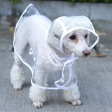 Transparent Dog Raincoat