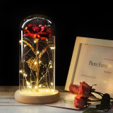 The Enchanted Red Rose