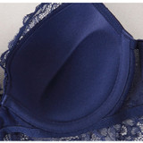 Fashion Luscious Sexy Bra & Panties Irresistible Lingerie Set