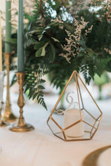 Triangle Geometric Terrarium