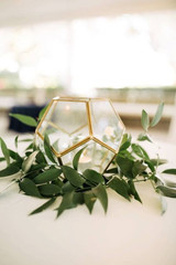 Hexagon Terrarium